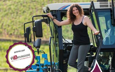 Les métiers de la vigne et du vin, un secteur porteur d’emplois